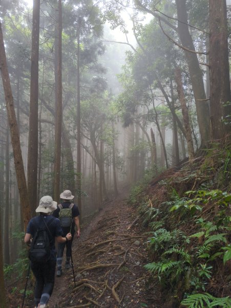 2025.07.05－高島縱走2828182