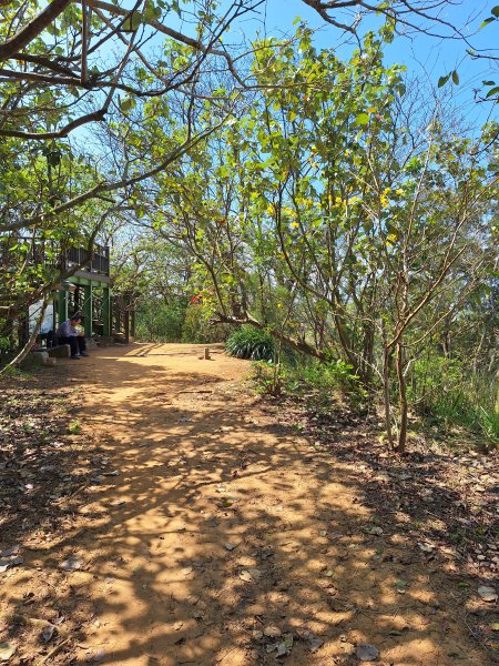 造橋口山古道202503122734399