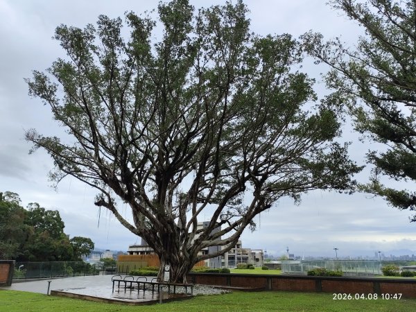 行天宮北投分宮、忠義福慈宮、內湖大港墘公園3038204