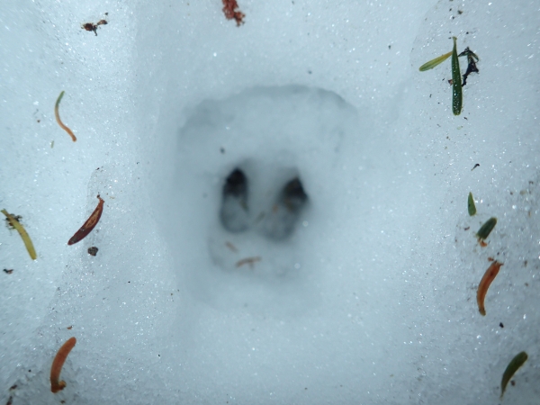 霸王級寒流下的雪訓試煉~前篇40894