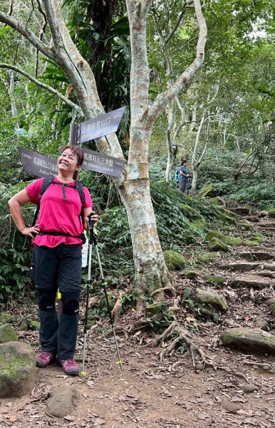 馬那邦山（珠湖登山口）2933979