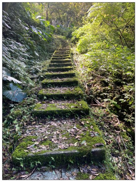 皇帝殿石壩尖、東峰、西峰連走(北峰登山口)2675639