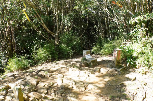 新竹 尖石 內鳥嘴山2899178