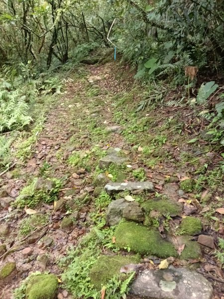 雙溪區三叉港+遠景古道+楊廷理古道+雞母嶺街O型2758636