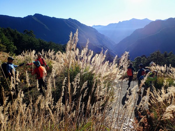 合歡越嶺古道登卯木山1174905