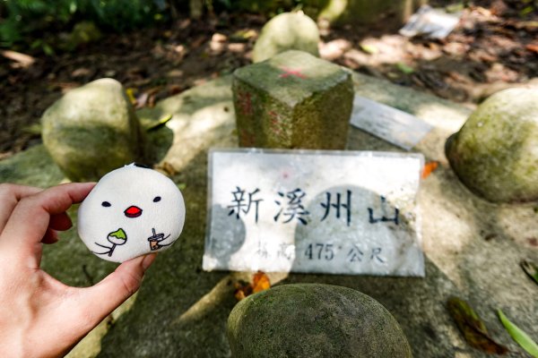 溪洲山小百岳｜福山巖登山步道2898898