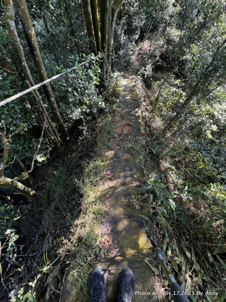 苗栗三員縱走2942833