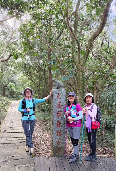 大崙頭尾山2992009