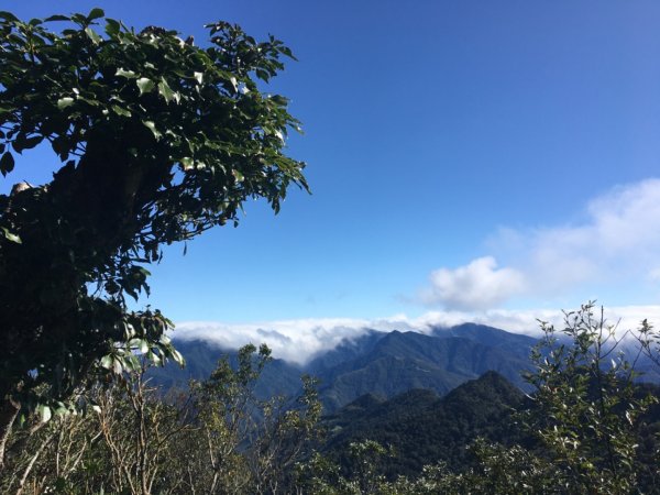 北得拉曼神木步道、內鳥嘴山、山毛櫸、瀑布2348734