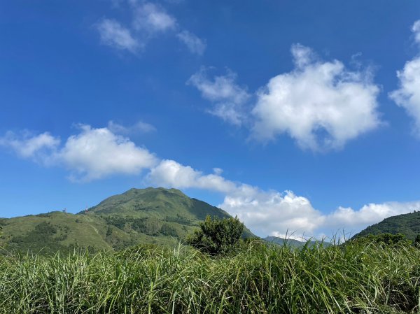 竹篙山山腰古道2204060