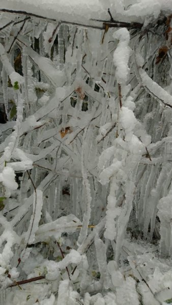 冰雪奇緣歷險記～加羅湖（未盡）1237567