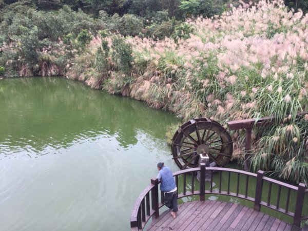 北縱七段抓了10隻博蒂封面