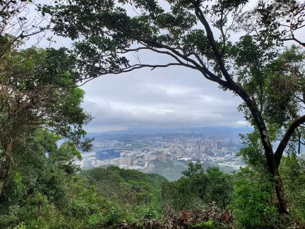 土城火焰山縱走大暖尖山