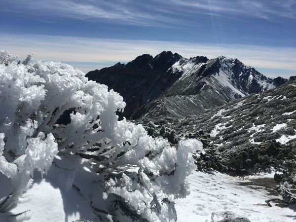 雪季 圓峰山屋 三叉峰229828