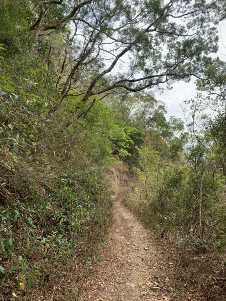 20250404屏東北獅子頭山-霧里乙山2757417