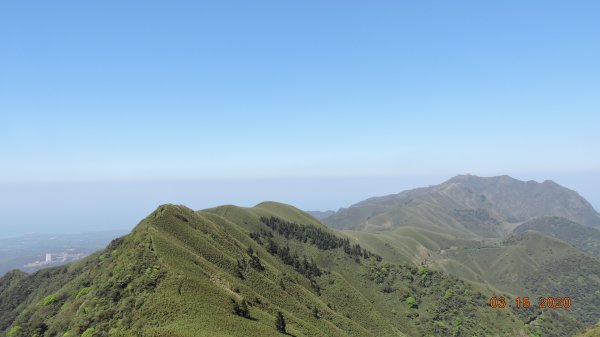 晴朗涼爽舒適/車道像停車場/步道人龍879713