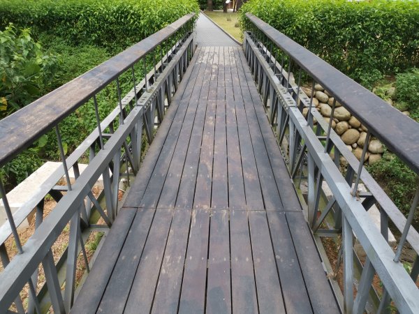 暑之大湳森林公園2859589