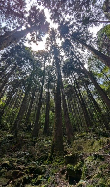 橫沙笛縱走 (木馬古道、橫嶺山、沙蓮山、笛吹山)2550374