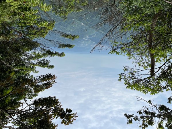 20230506_五指山（新竹小百岳）2762397