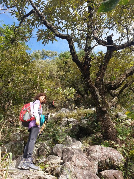 德芙蘭經東南稜上東卯山20190907676056