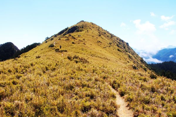 閂山、鈴鳴山 ~ 山巔雲端 , 與美麗山林307000