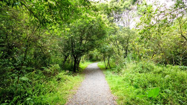 九寮溪自然步道2826880