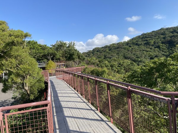 《金瑞治水園區開跑｜重訪金龍產道與碧山營地的暖陽晨跑》2951617