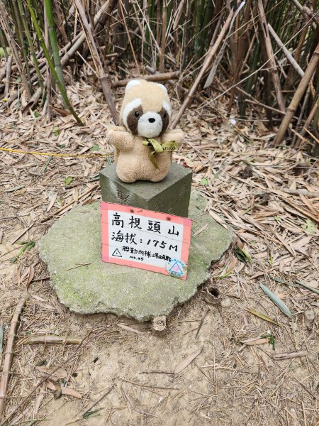 112/2/23龍鳳連稜2148190