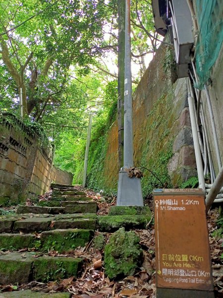 陽明醫院舊址、陽明山前山公園、紗帽山步道、紗帽路、臺北市教師研習中心【走遍陽明山】2121940