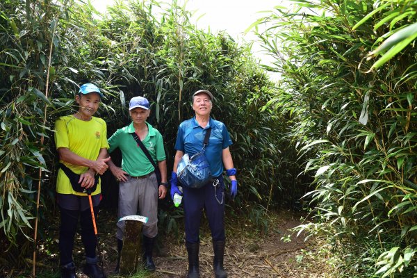 2022-08-21 五腳松古道-金孔坪-菜頭崙-小觀音山北北峰-紅葉谷瀑布-內柑宅古道O形1814367