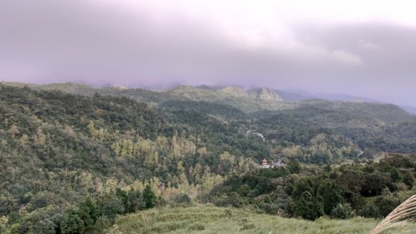 1090208鵲子山/跑馬古道/大金面山844275