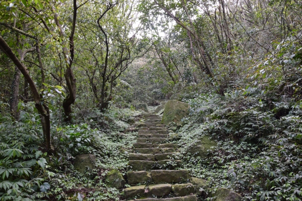 大屯火山群十連峰 陽明山大縱走 40579