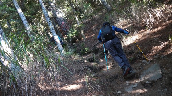 池有山單攻登山健行趣(百岳52)1515176