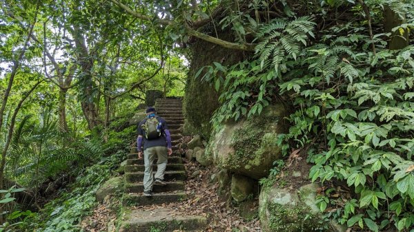 112.04.29走遍陽明山尋寶任務之坪頂古圳步道2137385