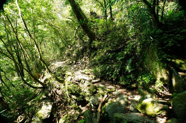 新北 烏來 波露南山3036004