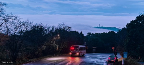 #陽明山 趴趴走12/12950333