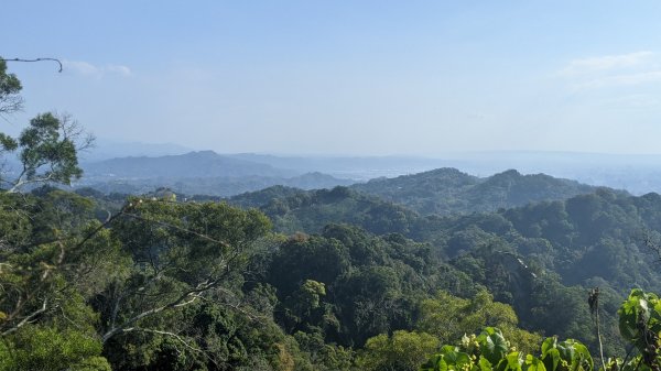 聚興山、新田山步道1641389