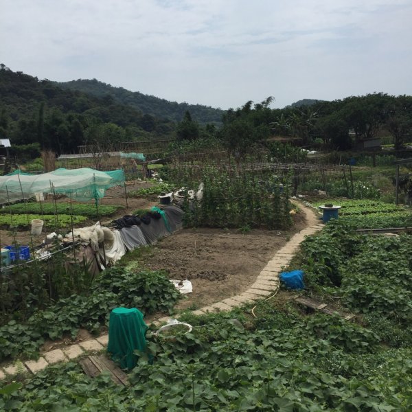 臺北大縱走第四段946902