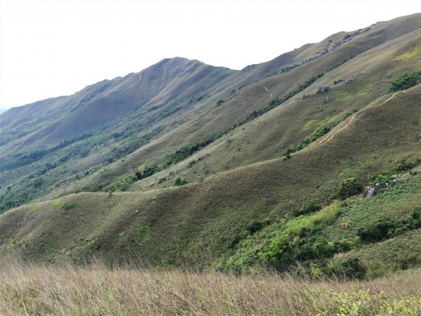 HK - 雞公嶺938843