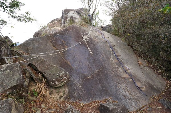台中 和平 東卯山2674505