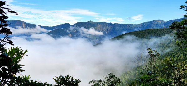 大霸尖山，小霸尖山，伊澤山，加利山，向天湖山，三角湖山，光天高山，李棟山，青蛙石步道，銅鏡山林步道1980109