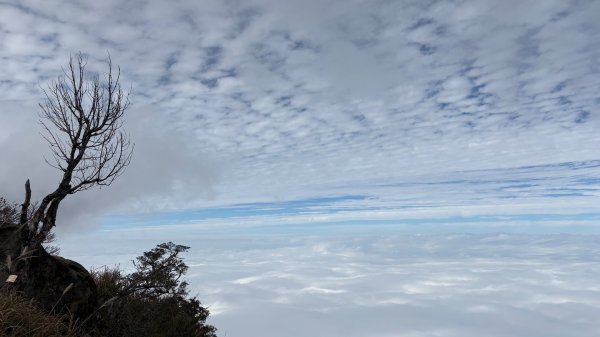 再也不爬囉（告別20252973158