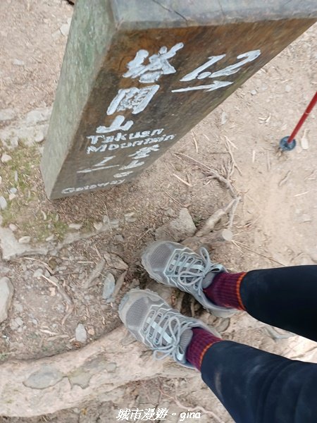 【高雄桃源】朝聖壯闊山景之南橫三星。 編號72百岳~塔關山登山步道2096667