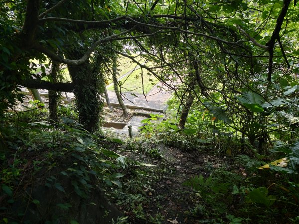 [淡蘭古道] 2026_0531 北路第一段_苧仔潭古道3070491