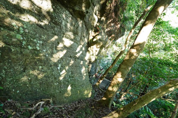 新北 三峽 金敏子山、詩朗山、塞口坑山、內金敏山2565613