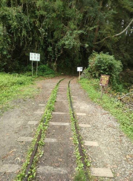 1140830特富野古道3099970