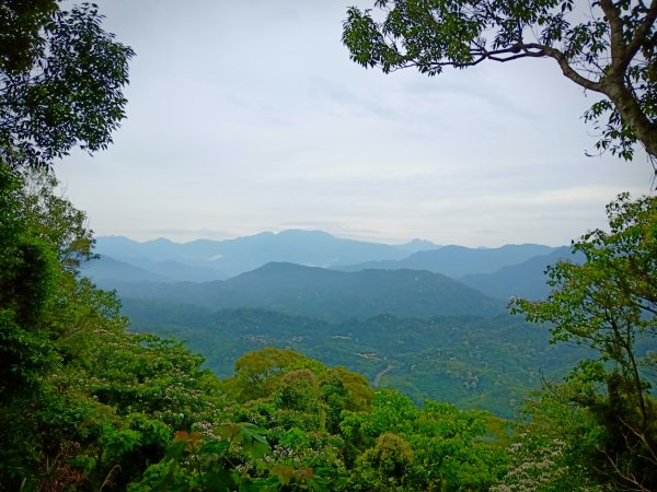 趁未下雨來一趟溪洲山-頭寮山