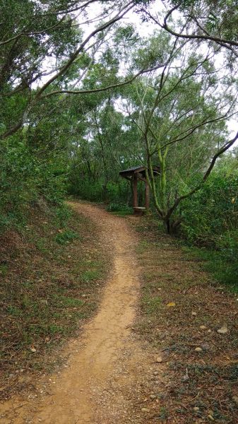 大肚山環保公園步道203778