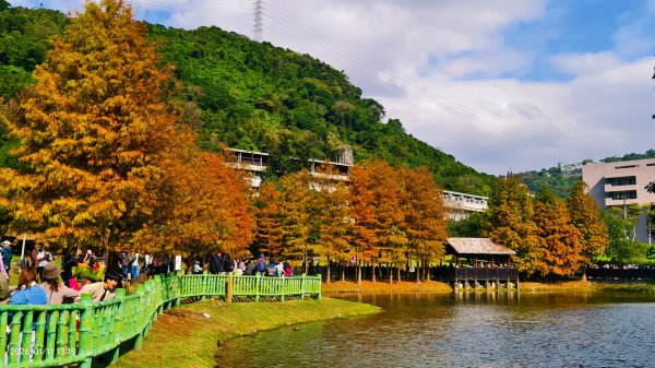 #花卉試驗中心 #永公路500巷 #平菁街42巷 #原住民公園 #士林官邸 1/42980342