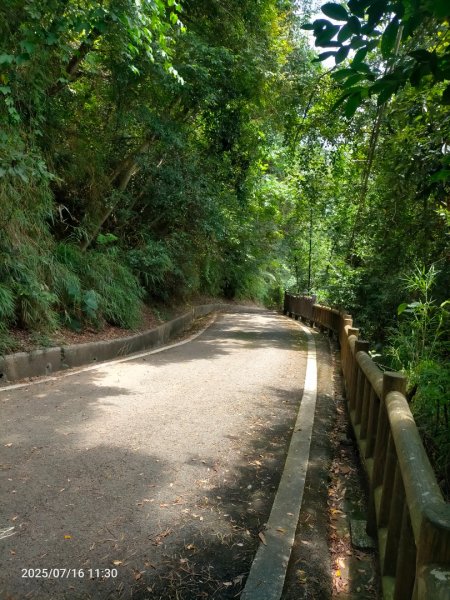 皮皮：六寮古道+獅山古道2838698